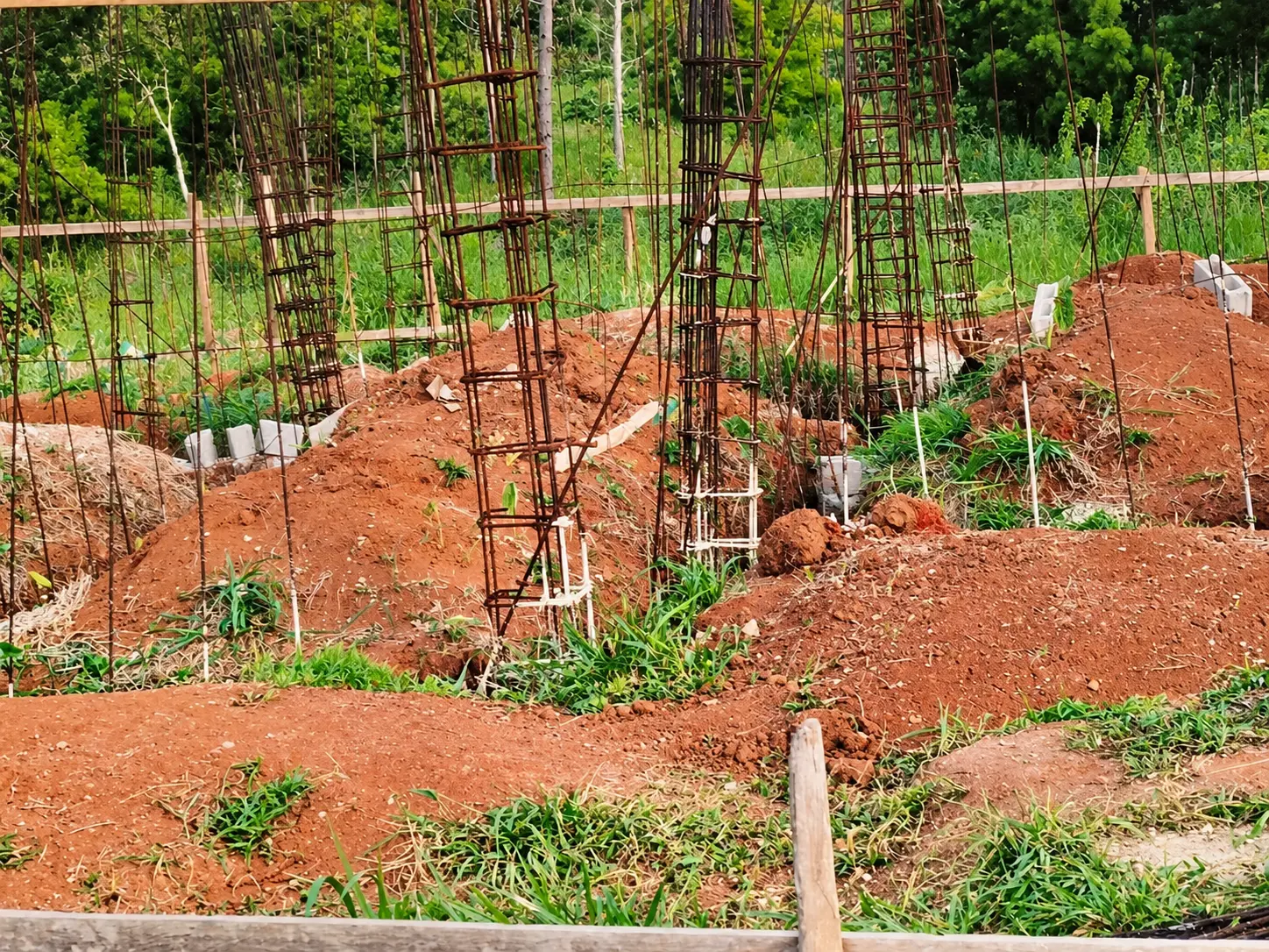 Vertical steel rebar column cages rise from mounds of red earth at a foundation site, concrete blocks placed around their bases and dense green foliage behind